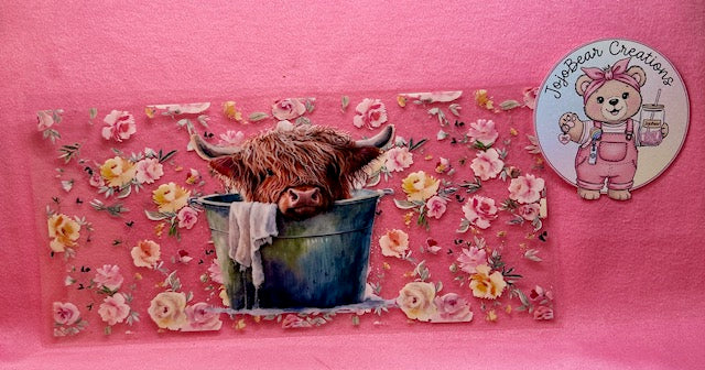Cows