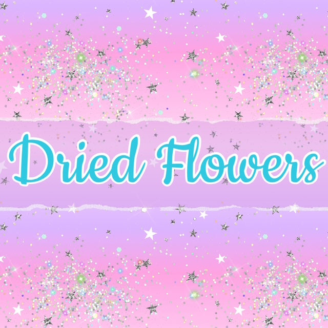 Dried Flowers