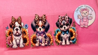 Dogs