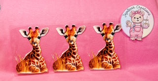 Animals