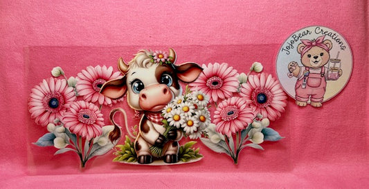 Cows