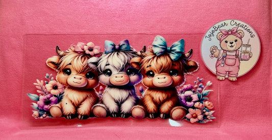 Cows